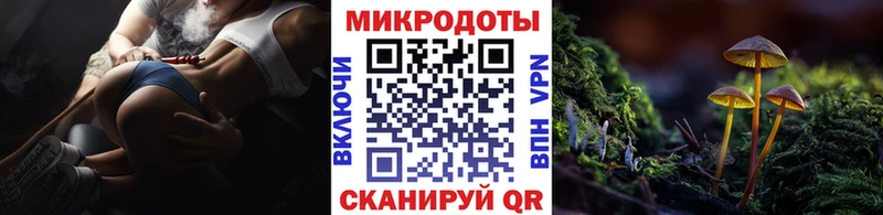 Галлюциногенные грибы Psilocybe  хочу наркоту  Тарко-Сале 